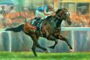 “High Chapparal”( Edition 350)
380x250mms
£55